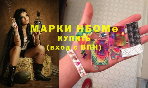 таблы Бородино