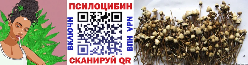 хочу наркоту  Вилюйск  Галлюциногенные грибы прущие грибы 